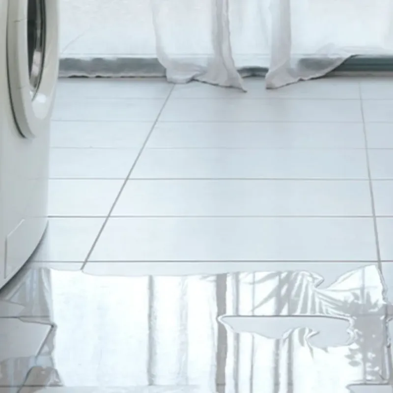 Appliance Leak Cleanup in Cross City, FL