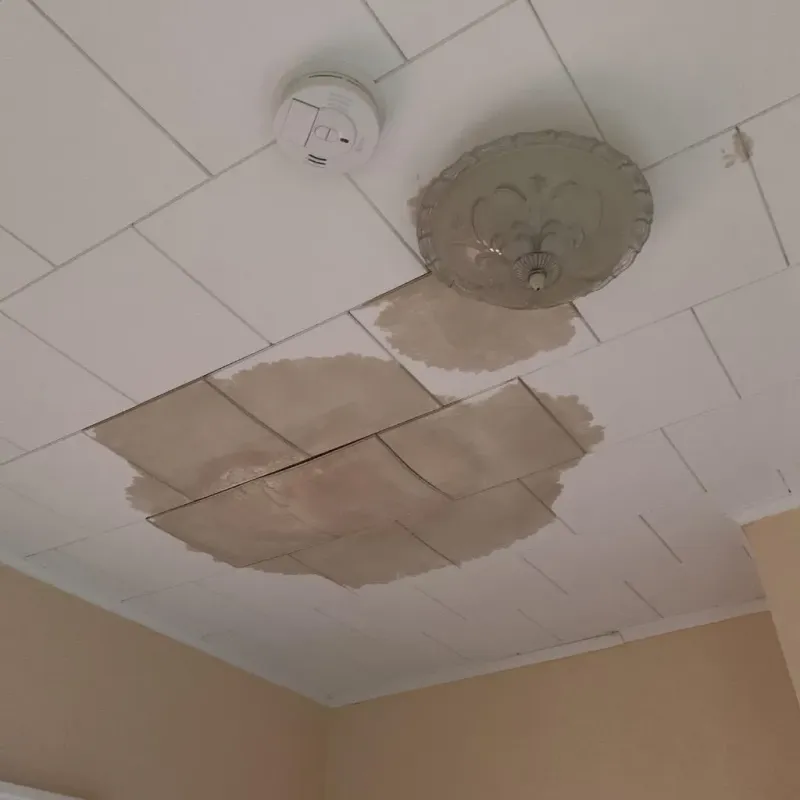 Ceiling Water Damage Repair in Cross City, FL